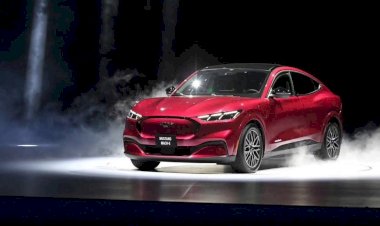 Ford Việt Nam ra mắt xe điện Mustang Mach-E, giá 2,599 tỷ đồng